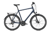 Raleigh RUSHHOUR 4.0 XXL 60 deepskyblue matt