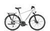 Raleigh RUSHHOUR 1.0 50 lightgrey glossy