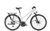 Raleigh RUSHHOUR 1.0 45 lightgrey glossy