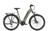 Raleigh DUNDEE LTD 50 mineralgreen matt